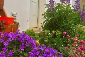 Capriche Departamentos por día