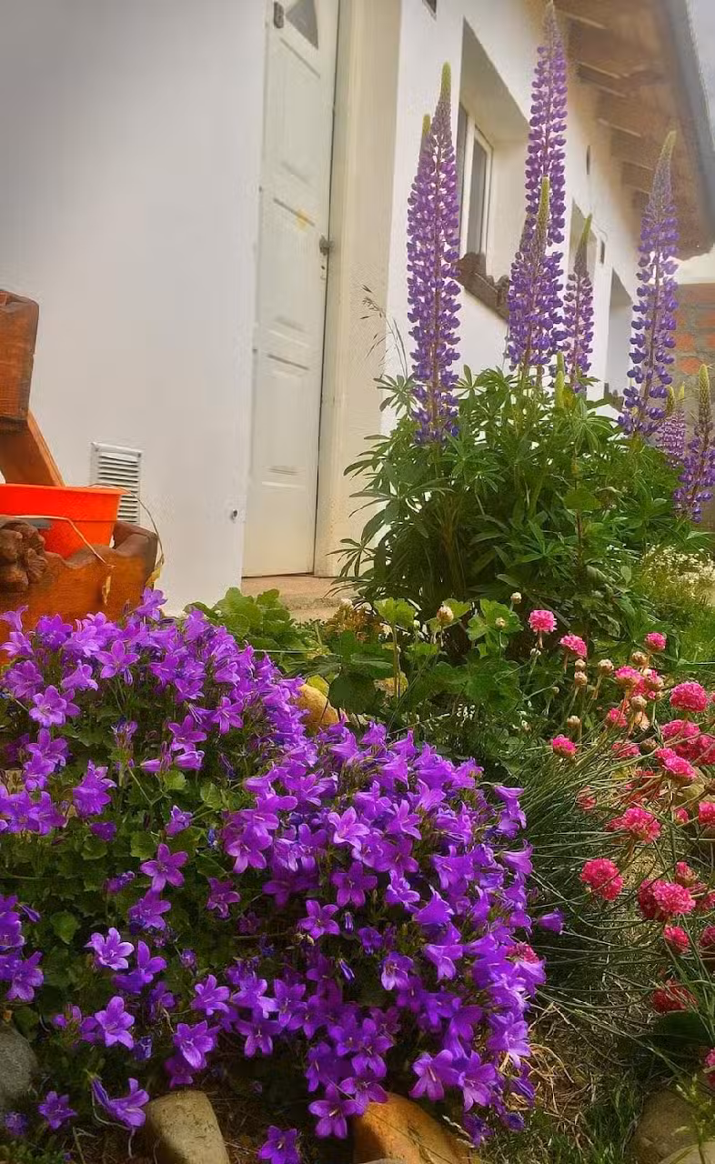 Capriche Departamentos por día