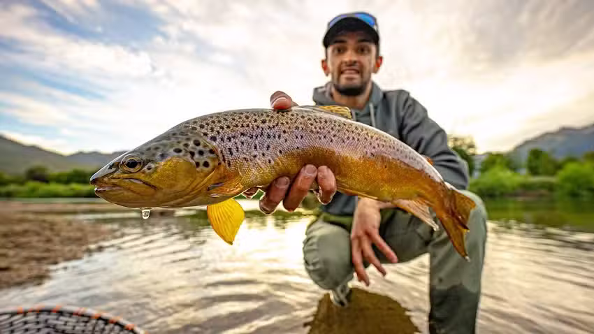 Carrileufu River Lodge
