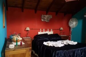 Casa de Alquiler Turistico Alma