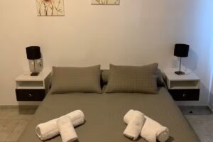 Casa de Alquiler Vultur