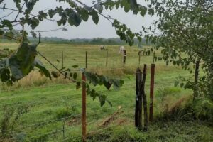 Casa de Campo “EL FOGON”