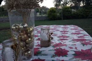 Casa de campo “El TOTO”