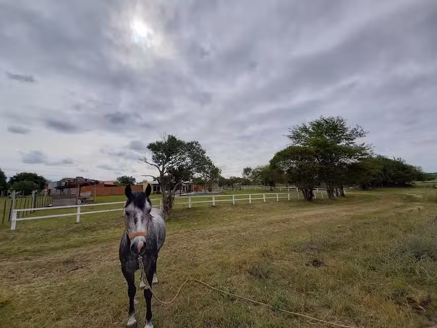 Casa de campo Los Nonos