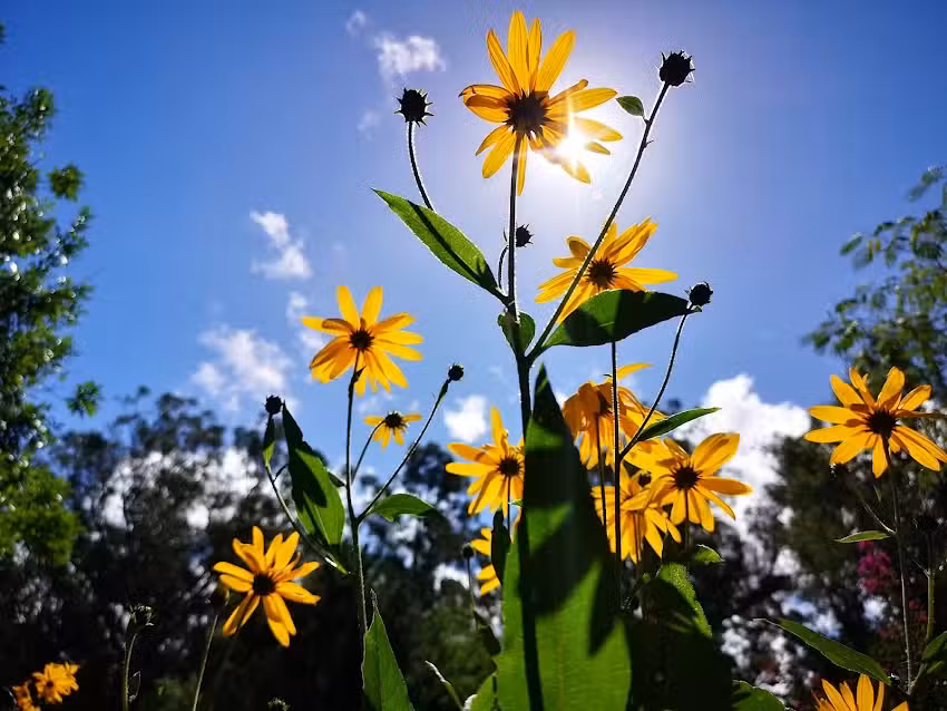 Casa de campo, surf,pesca y golf