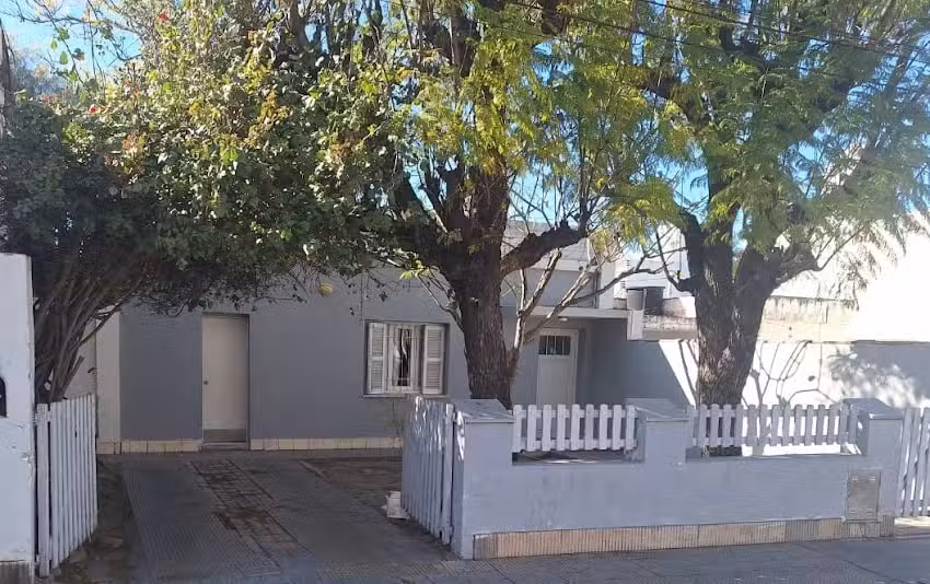 Casa del Arbol