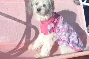 Casa del lago Nahuel