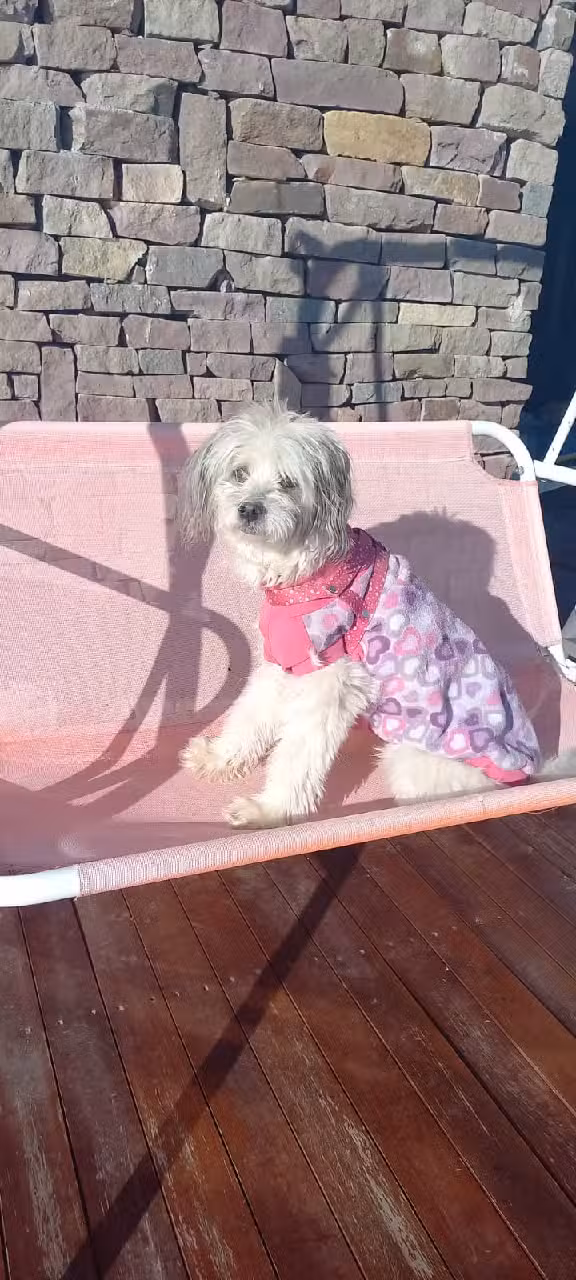 Casa del lago Nahuel