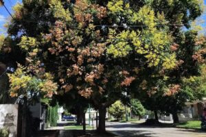 Casa En Tres Cerritos