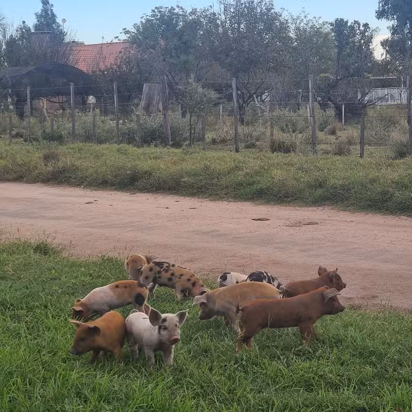 Casa Rural Finca La Bona Font