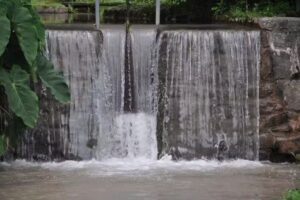 Casaquintas Nogaleñas