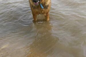 Casas quinta El Paraje