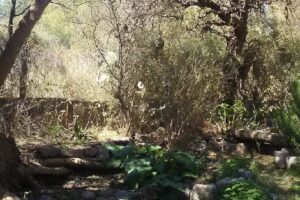 Casas Serranas Wilka Pacha