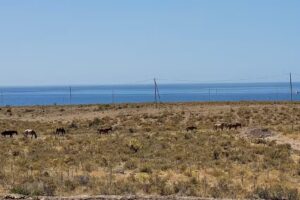 Casona Islas Blancas
