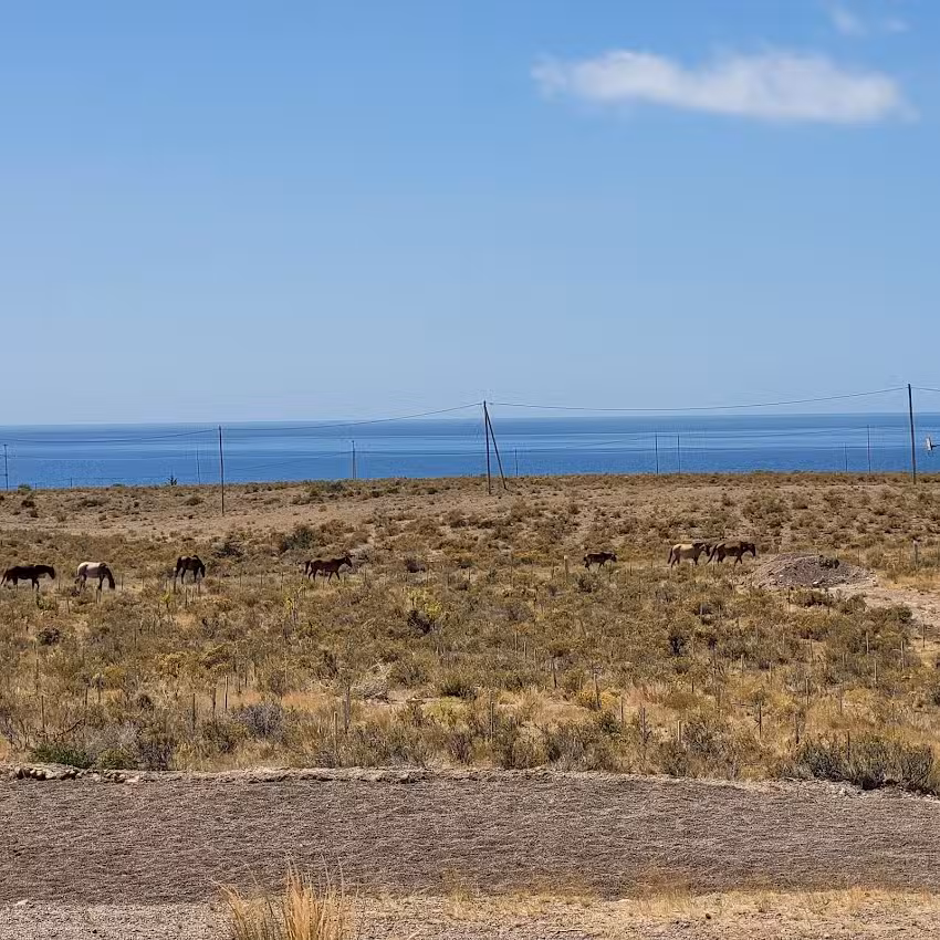 Casona Islas Blancas