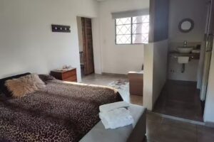 Casuarinas de Mercedes