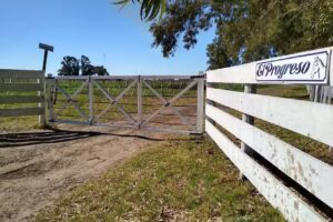 Centro El Progreso Las Flores, Bs As