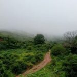 Cerro Alto Del Medina