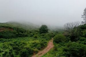 Cerro Alto Del Medina