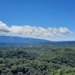 Cerro Alto Del Medina