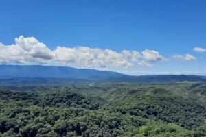 Cerro Alto Del Medina