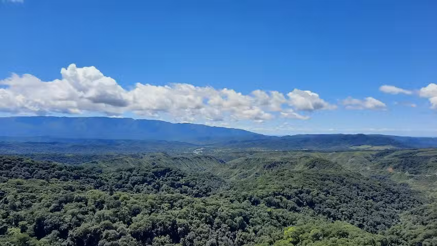 Cerro Alto Del Medina