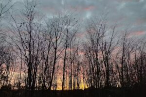 Chacra Espiral -Hospedaje Vegetariano