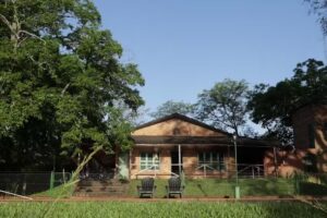 CHACRA FLOR SILVESTRE