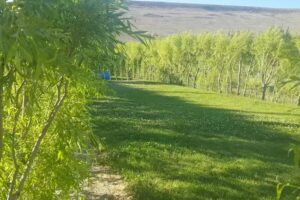 Chacra Turística Las Martinetas