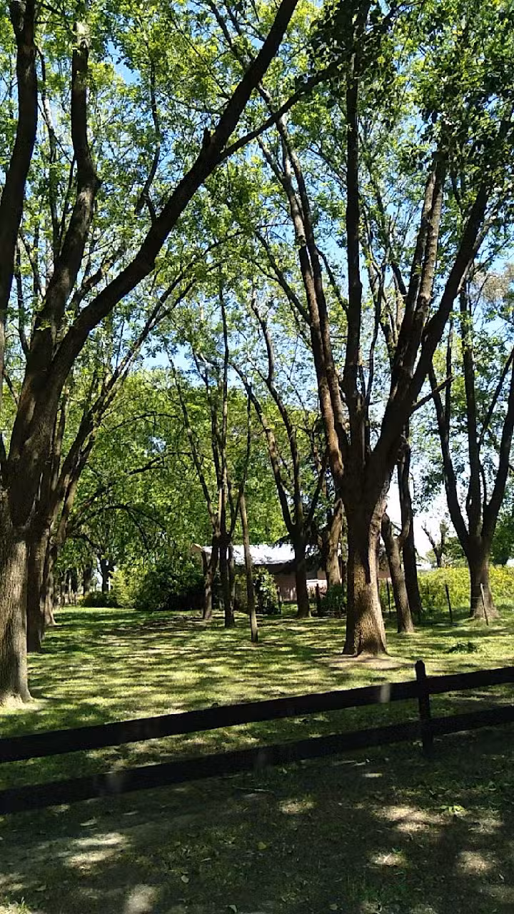 CIC: Centro Integral comunitario/Camping Municipal