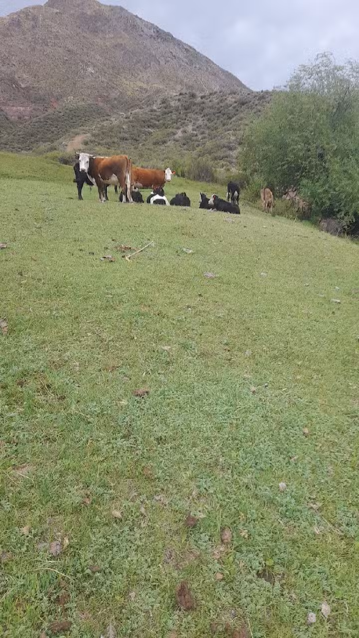 Ciénaga de Huachi