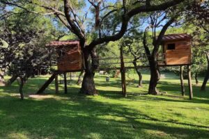 Colonia Los Cocos Uepc