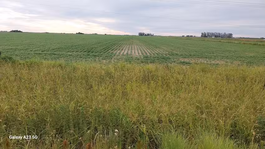 Colonia Teresa pesca y alojamiento