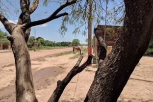 Comedir Y Hospedaje “El Nino”