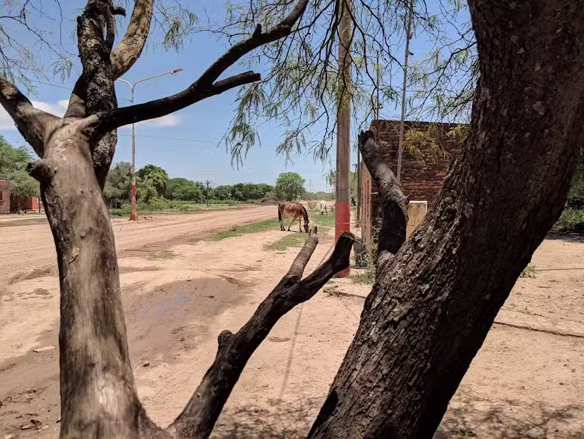 Comedir Y Hospedaje “El Nino”