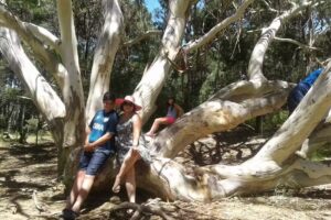 Complejo Aguas Claras