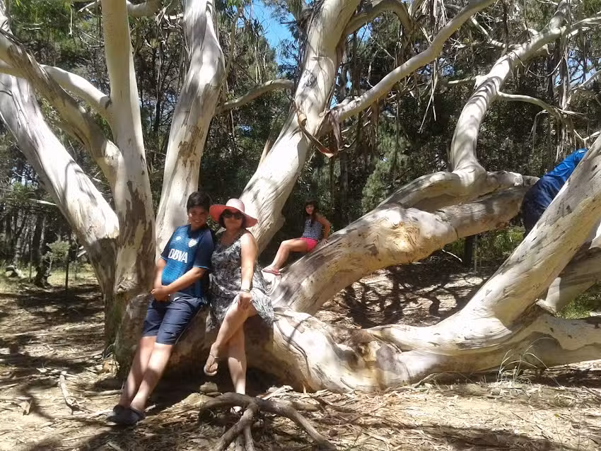 Complejo Aguas Claras