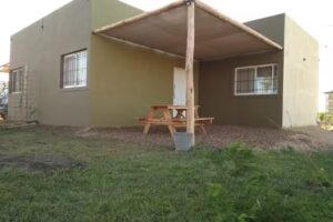 complejo alicho colon