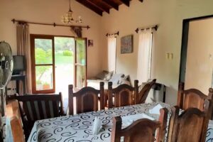 Complejo Arboles y Pajaros