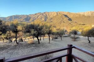 Complejo Arlington Village