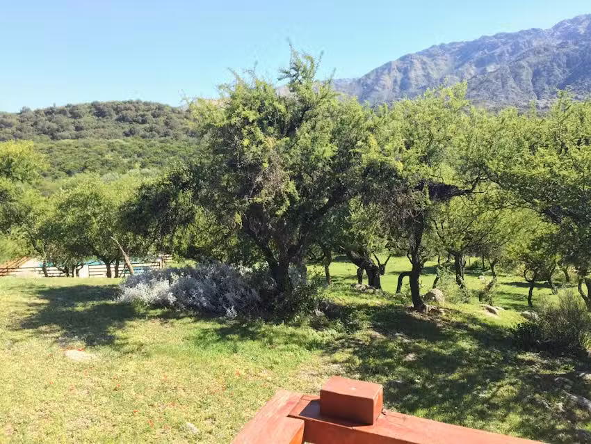 Complejo Arlington Village