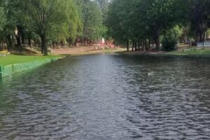 Complejo de Cabañas Agec