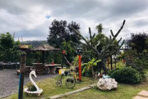 COMPLEJO DE CABAÑAS FLORES AZULES