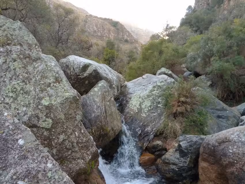 Complejo de Cabañas “La Tregua”