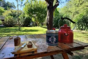 Complejo de Cabañas Los Abedules