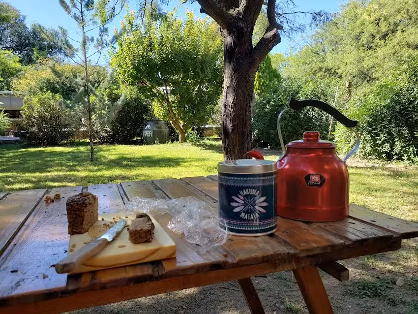 Complejo de Cabañas Los Abedules