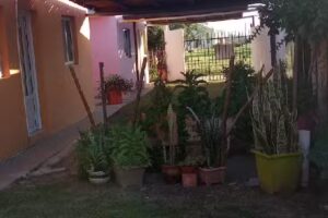 Complejo de cabañas Su Lugar