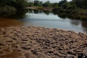 Complejo de Cabañas Victor II