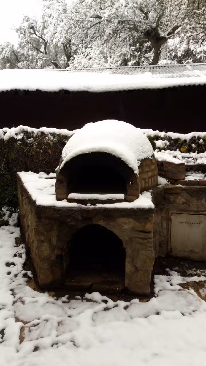 Complejo de cabañas Wald