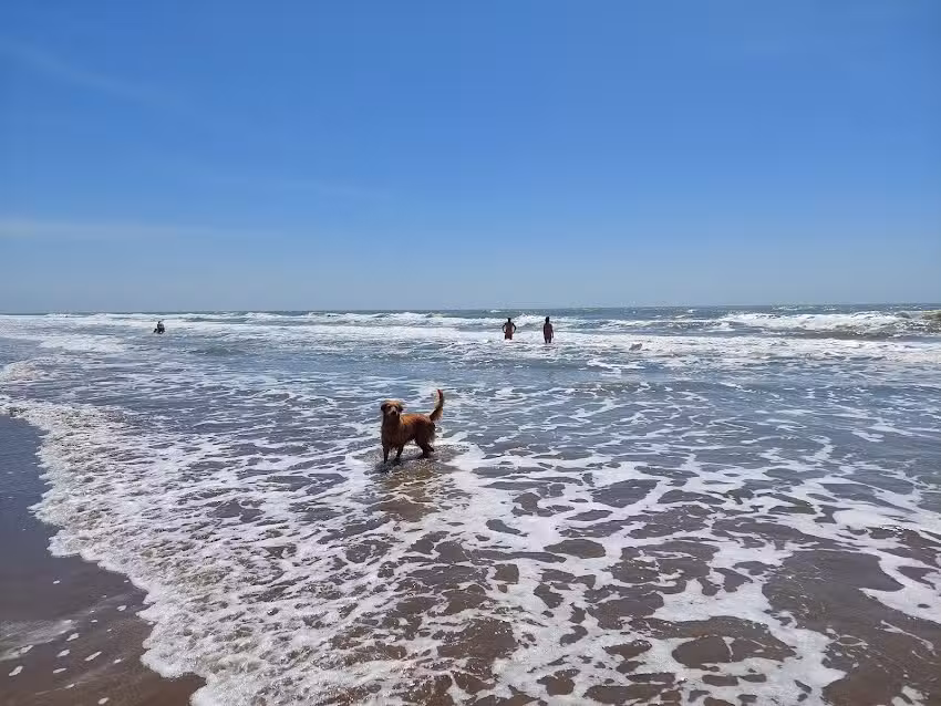 COMPLEJO Duplex FRENTE AL MAR